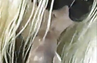 XXX Uomo nero cazzo di una film porno gratis italiani completi Romania nel culo.